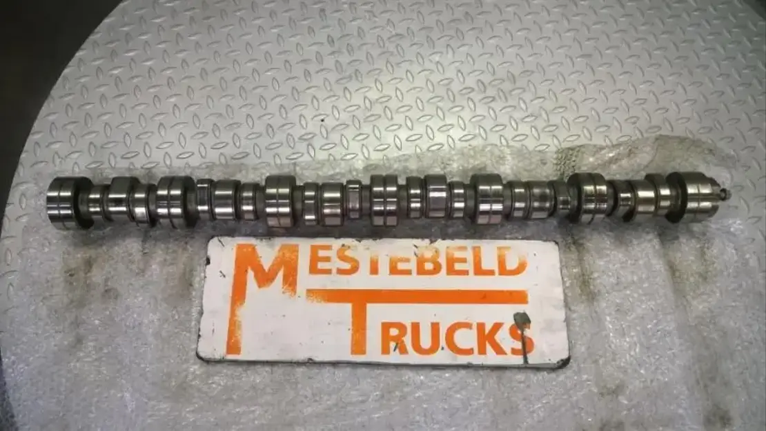 Scania Nokkenas DSC1205