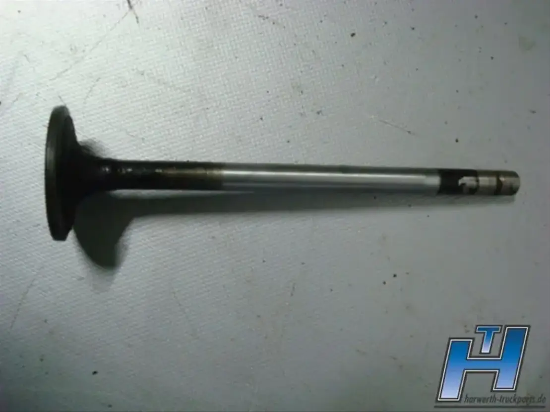 DAF Einlassventil 1789874 CF-XF E5-6